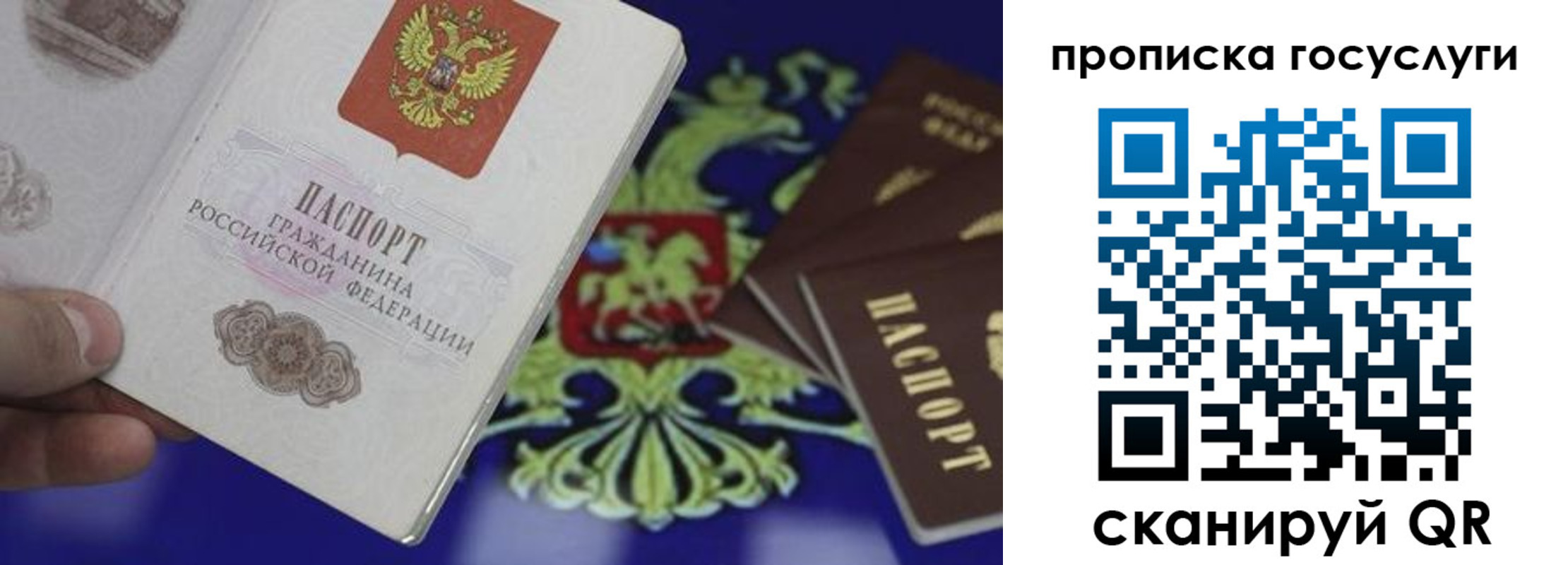 прописка для школы в Сергиевом Посаде